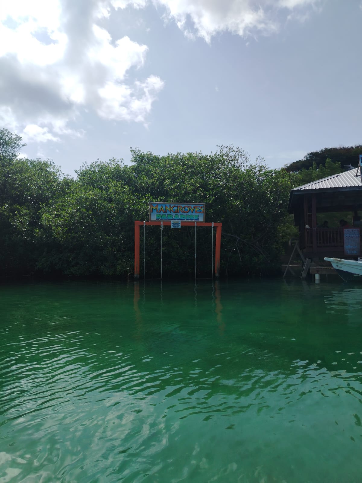 Mangroves Paradise sign over the green waters of Roatán's mangrove canal