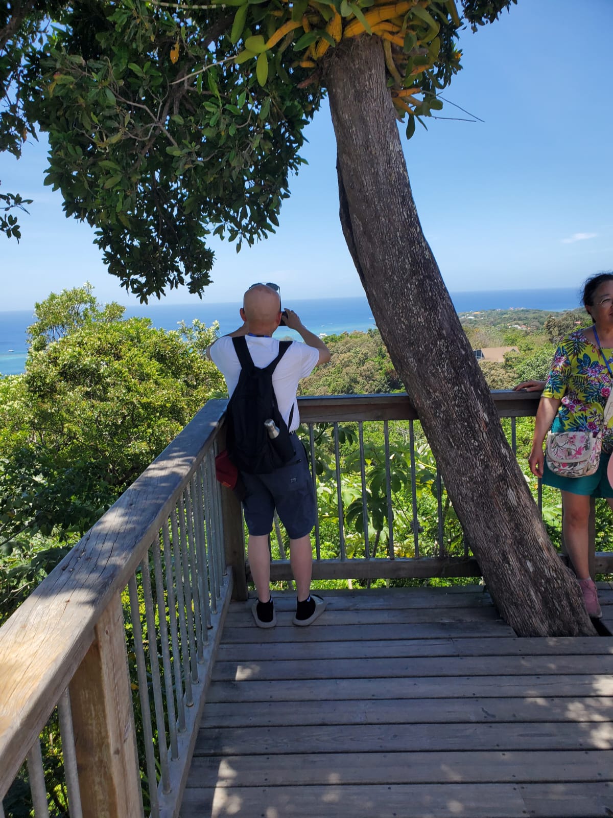 Guests enjoying the ocean view during a private transfer stop in Roatán